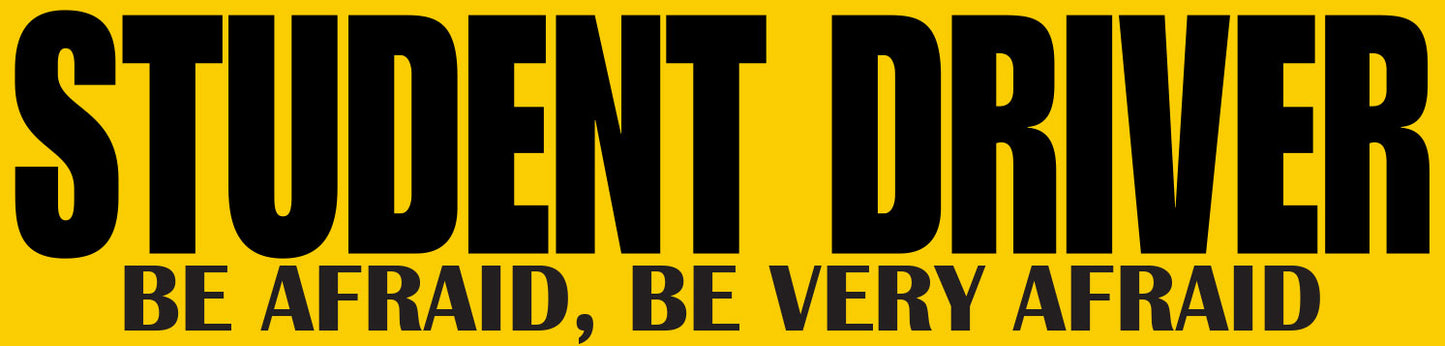 Funny Driver Training Magnet Style 8 (12"x3")